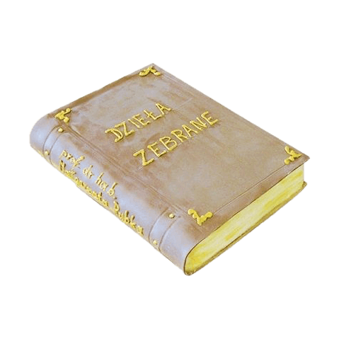 js nr 21 png